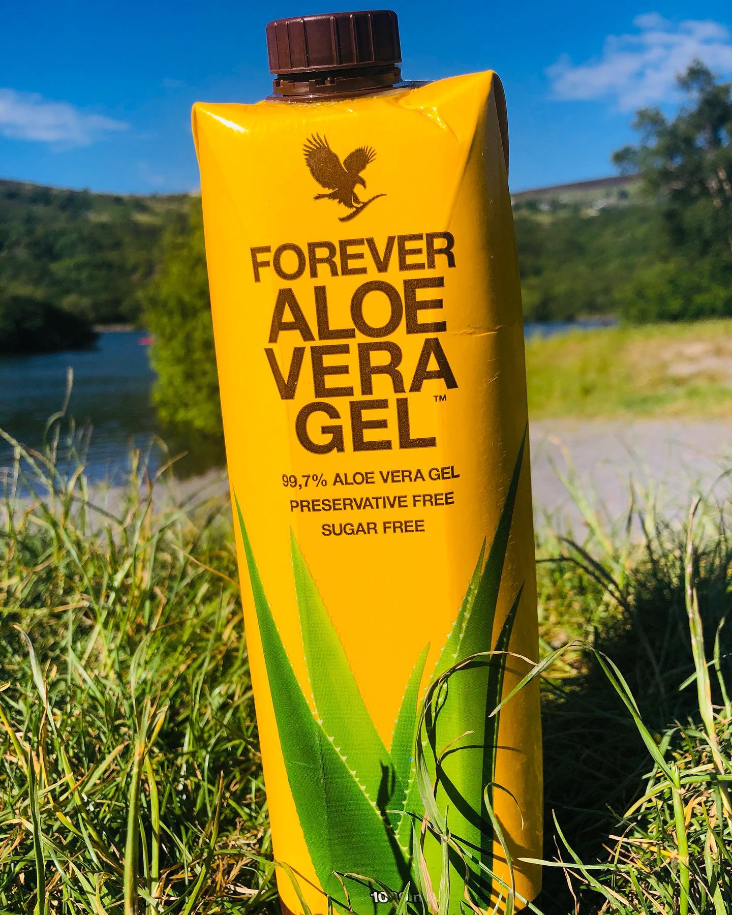 I drink Aloe Vera every day when I first wake up.  It is 99.7% Aloe Vera and is full of vitamins, minerals and nutrients that keep my skin glowing and my body healthy.  My shop link is in my bio or message me for more details.  #aloevera #aloeveragel #aloeveraskincare #healthybody #glowingskin