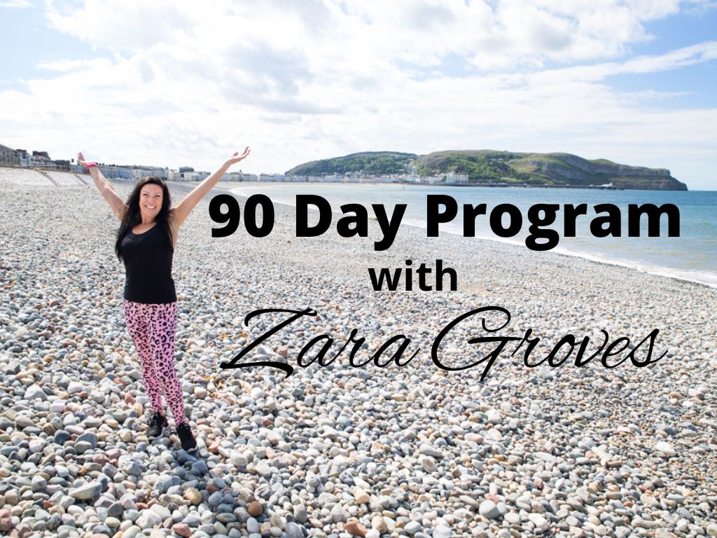 90 Day Program